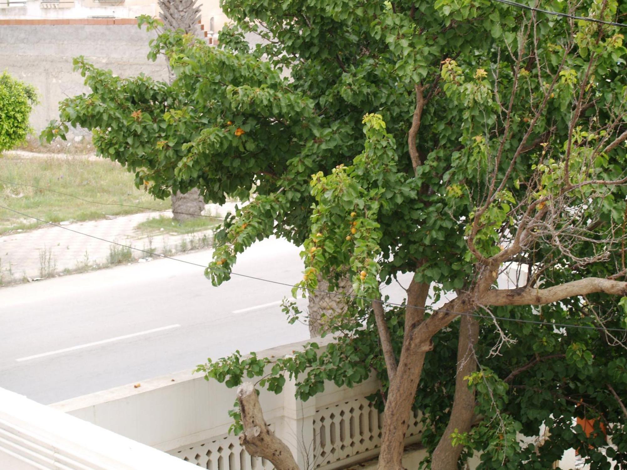 Dar El Amen Appartements Mehdiye Oda fotoğraf